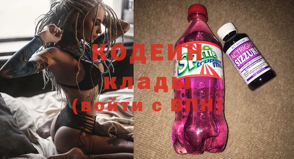 ГАЛЛЮЦИНОГЕННЫЕ ГРИБЫ Нея