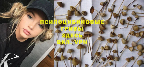 ГАЛЛЮЦИНОГЕННЫЕ ГРИБЫ Нея